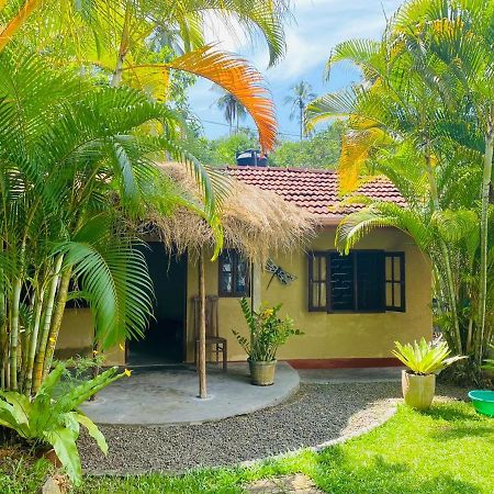Mango Place Hikkaduwa Luaran gambar